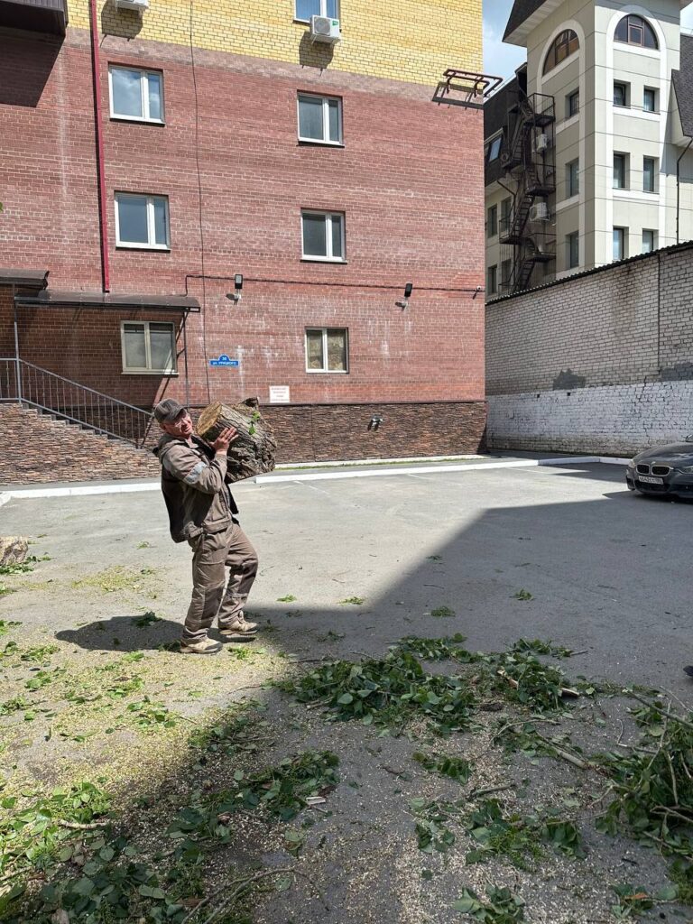 Погрузка и вывоз деревьев с Герцена 45