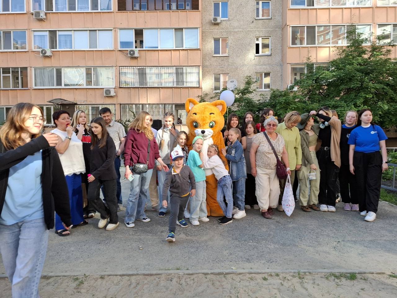 Фоторепортаж с мероприятия Тёплые коты Тюмени 7 июня 2025 года