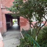Стрижка кустов на придомовой территории МКД по адресу улица Новосёлов 12 и корпуса | 24 июня 2026 года Стрижка кустов на придомовой территории МКД по адресу улица Новосёлов 12 и корпуса | 24 июня 2026 года