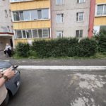 Стрижка кустов на придомовой территории МКД по адресу улица Новосёлов 12 и корпуса | 24 июня 2026 года Стрижка кустов на придомовой территории МКД по адресу улица Новосёлов 12 и корпуса | 24 июня 2026 года