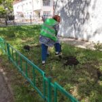 Посадка зелёных насаждений на придомовой территории МКД по адресу улица Новосёлов 12 корпус 3 | 25 июня 2026 года Посадка зелёных насаждений на придомовой территории МКД по адресу улица Новосёлов 12 корпус 3 | 25 июня 2026 года