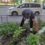 Посадка зелёных насаждений на придомовой территории МКД по адресу улица Широтная 215 | 25 июня 2026 года Посадка зелёных насаждений на придомовой территории МКД по адресу улица Широтная 215 | 25 июня 2026 года