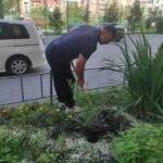 Посадка зелёных насаждений на придомовой территории МКД по адресу улица Широтная 215 | 25 июня 2026 года Посадка зелёных насаждений на придомовой территории МКД по адресу улица Широтная 215 | 25 июня 2026 года